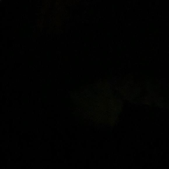 Meet your Posher, Tammy - Picture 1 of 1